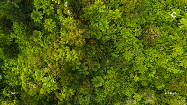 Embracing Sustainability: The Case for Closo in Modern era of e-commerce returns