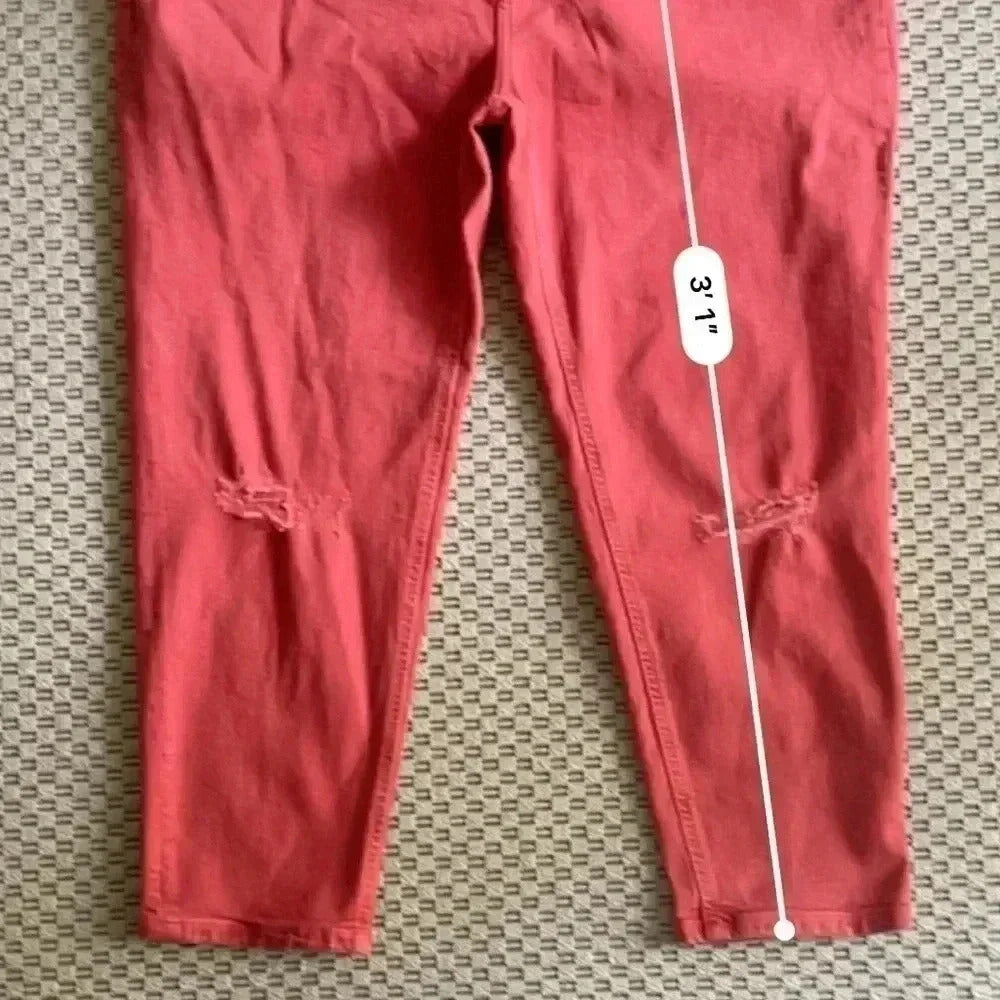 NWOT Anthropologie Pilcro and The Letterpress High Rise Slim Jeans - Size 18W