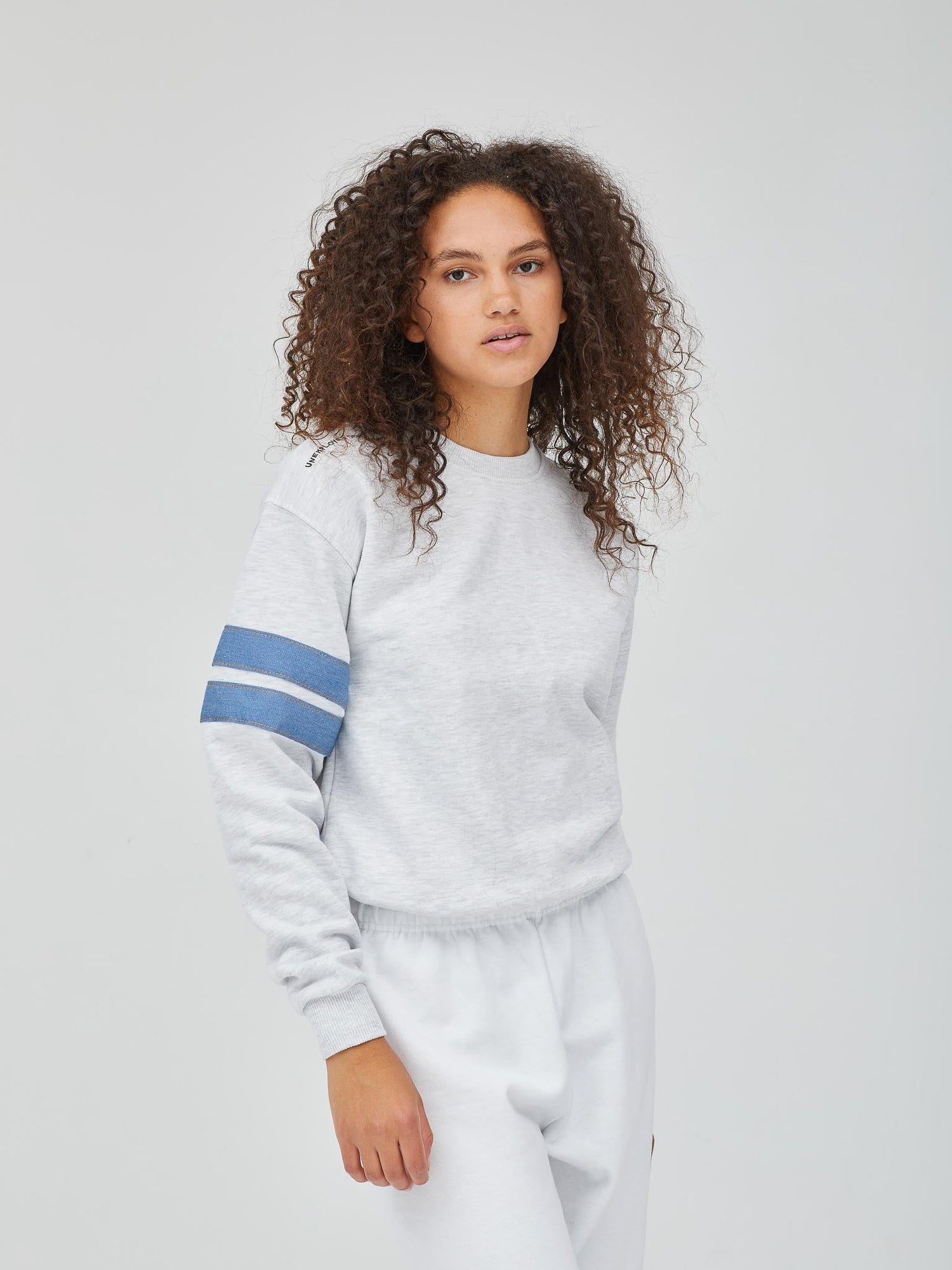 Unemployed Denim Denim Stripes Sweatshirt - /Gray Multi