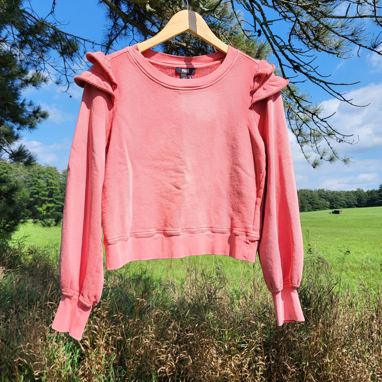 Paige Long Sleeve Panelo Sweatshirt - /Pink - XS