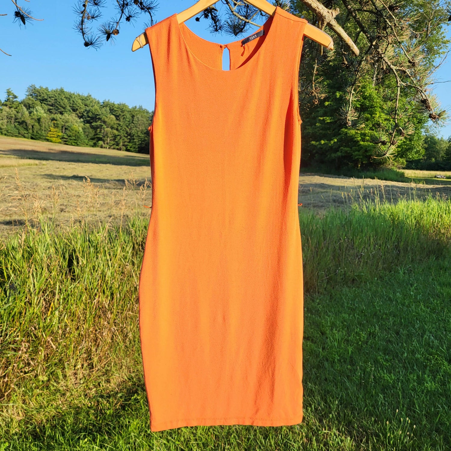 Tart Sleeveless Crew-Neck Body Con Belted Dress - /Orange - M