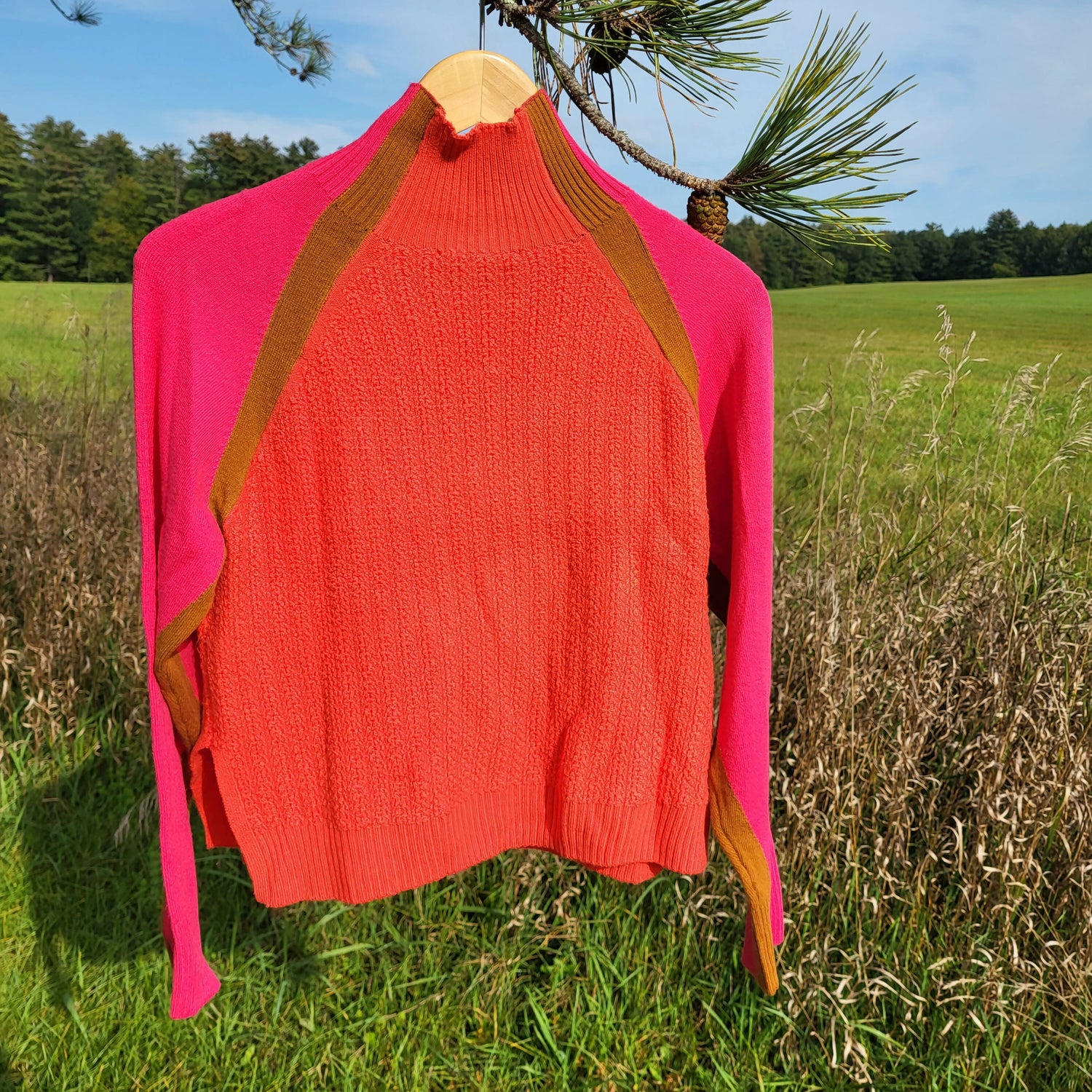 FRENCH CONNECTION Colorblock Turtleneck In Ginger/ Raspberry