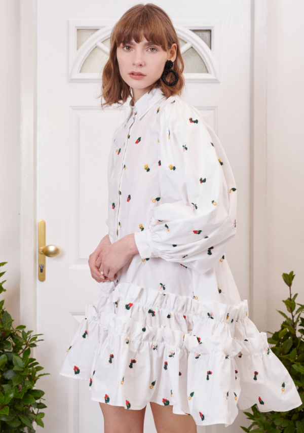 Posy Embroidered Ruffle Mini Dress