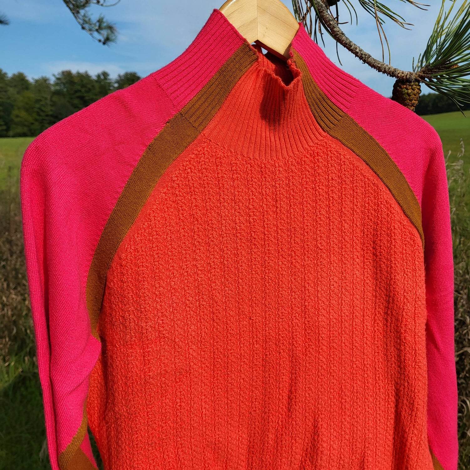 FRENCH CONNECTION Colorblock Turtleneck In Ginger/ Raspberry