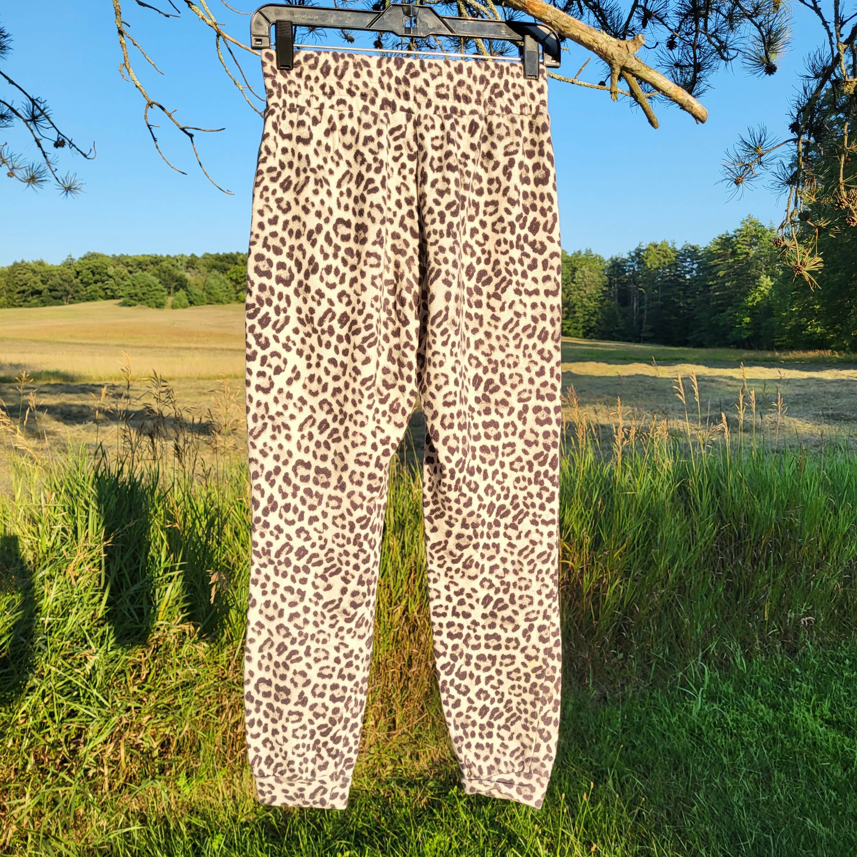 Alice + Olivia Leopard Print Lounge Pants