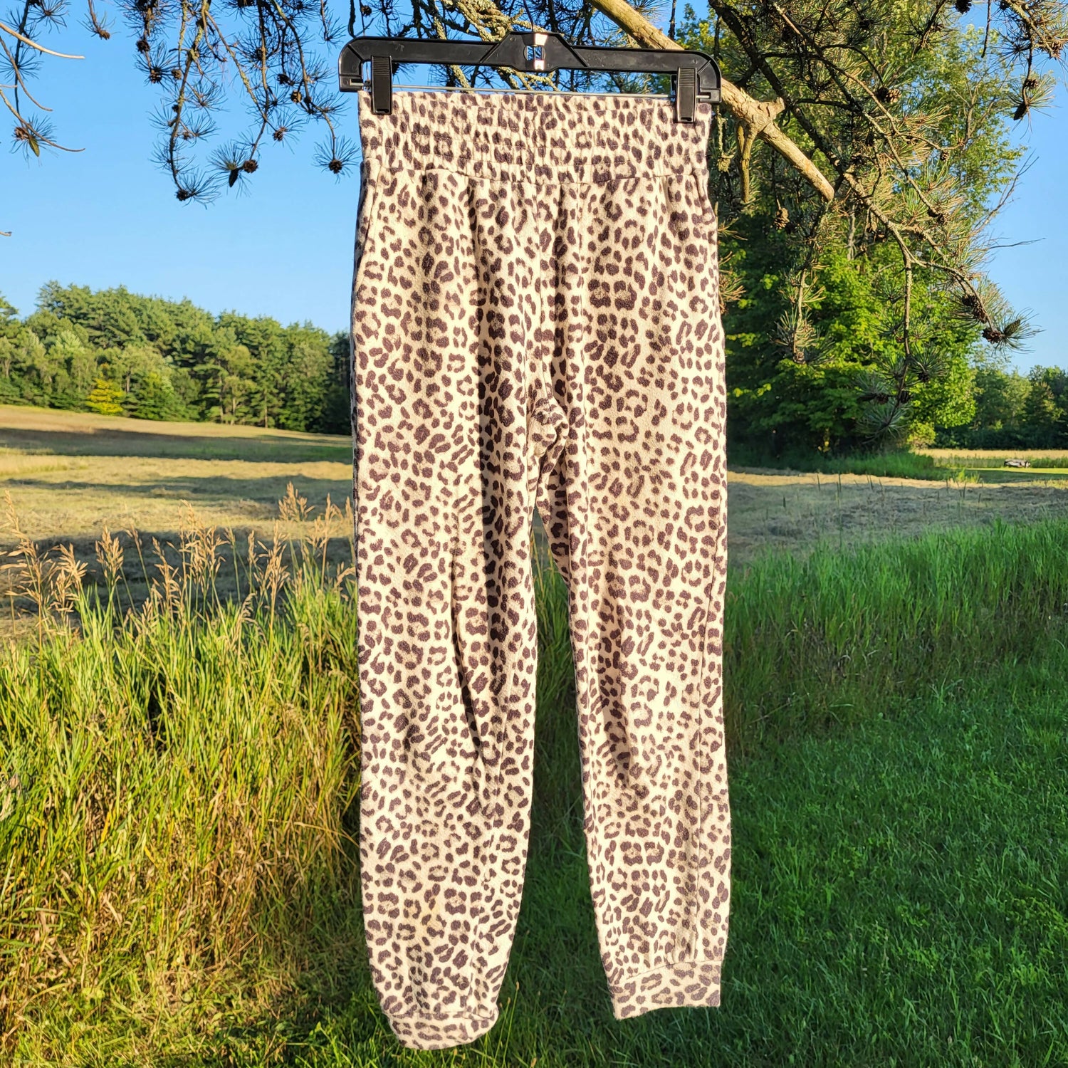 Alice + Olivia Leopard Print Lounge Pants