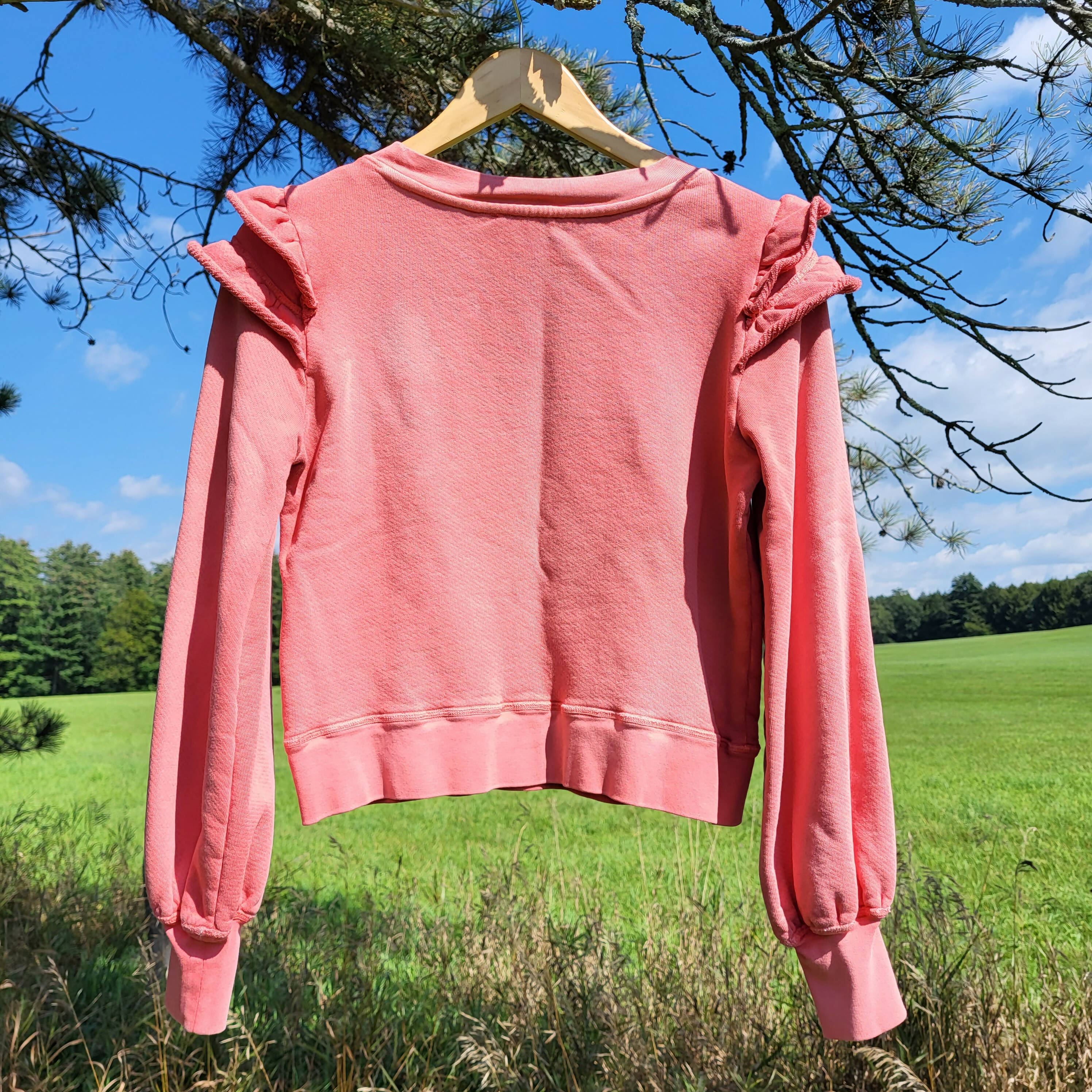 Paige Long Sleeve Panelo Sweatshirt - /Pink - XS