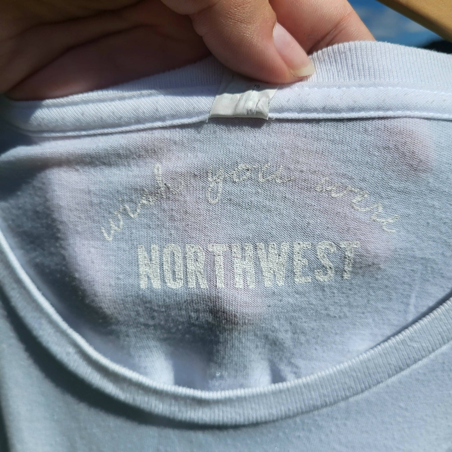 Wish You Were Northwest Wolficorn tee