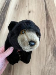 Ganz Webkinz Signature Black Bear WKSS2002 10" Plush Realistic NO CODE